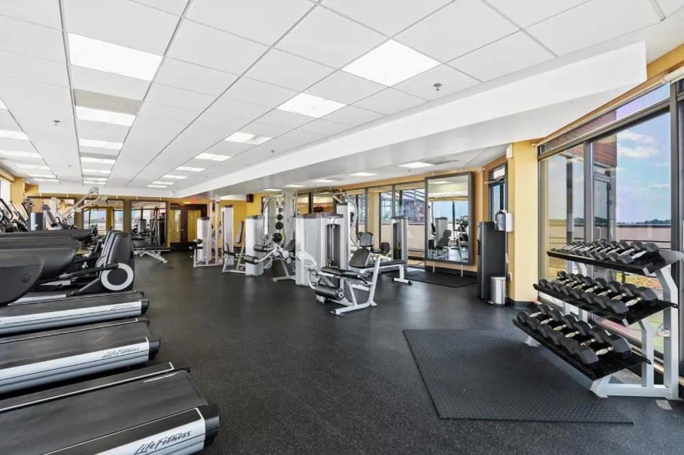 Modern & Charming Apt With Rooftop @Pentagon City Arlington Eksteriør bilde